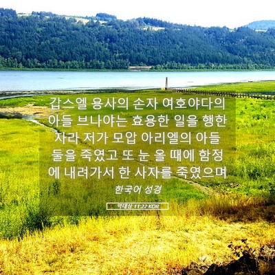Picture 05 - 역대상 11:22 KOR - 갑스엘 용사의 손자 여호야다의 아들 - Bible Verse Picture