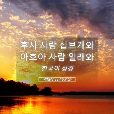 Picture 05 - 역대상 11:29 KOR - 후사 사람 십브개와 아호아 사람 - Bible Verse Picture