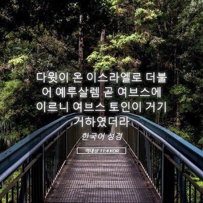 Picture 05 - 역대상 11:4 KOR - 다윗이 온 이스라엘로 더불어 - Bible Verse Picture
