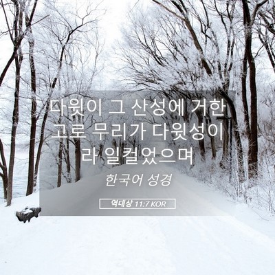 Picture 05 - 역대상 11:7 KOR - 다윗이 그 산성에 거한고로 무리가 - Bible Verse Picture