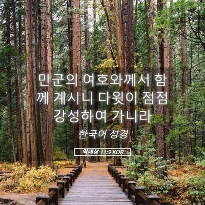 Picture 05 - 역대상 11:9 KOR - 만군의 여호와께서 함께 계시니 - Bible Verse Picture