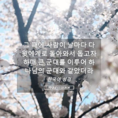 Picture 05 - 역대상 12:22 KOR - 그 때에 사람이 날마다 다윗에게로 - Bible Verse Picture