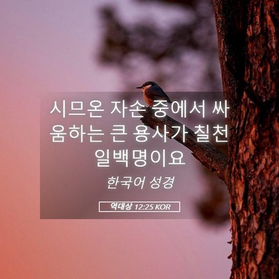 Picture 05 - 역대상 12:25 KOR - 시므온 자손 중에서 싸움하는 큰 - Bible Verse Picture