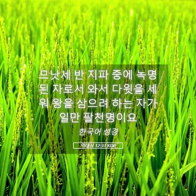 Picture 05 - 역대상 12:31 KOR - 므낫세 반 지파 중에 녹명된 자로서 - Bible Verse Picture