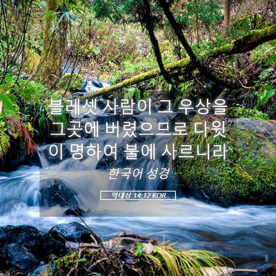 Picture 05 - 역대상 14:12 KOR - 블레셋 사람이 그 우상을 그곳에 - Bible Verse Picture