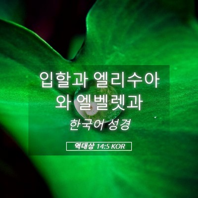 Picture 05 - 역대상 14:5 KOR - 입할과 엘리수아와 - Bible Verse Picture