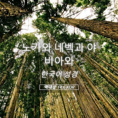 Picture 05 - 역대상 14:6 KOR - 노가와 네벡과 - Bible Verse Picture