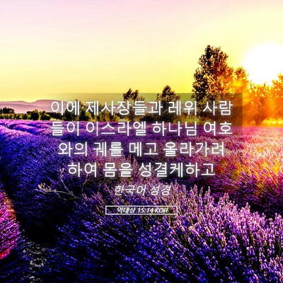 Picture 05 - 역대상 15:14 KOR - 이에 제사장들과 레위 사람들이 - Bible Verse Picture