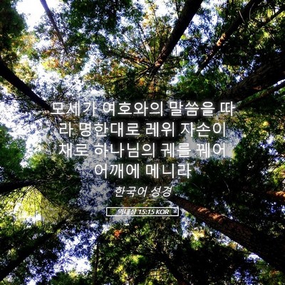 Picture 05 - 역대상 15:15 KOR - 모세가 여호와의 말씀을 따라 - Bible Verse Picture