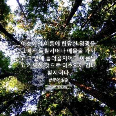 Picture 05 - 역대상 16:29 KOR - 여호와의 이름에 합당한 영광을 - Bible Verse Picture