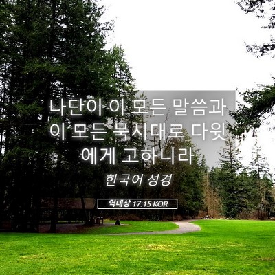 Picture 05 - 역대상 17:15 KOR - 나단이 이 모든 말씀과 이 모든 - Bible Verse Picture