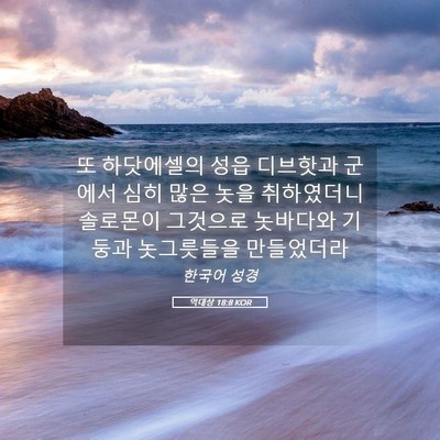 Picture 05 - 역대상 18:8 KOR - 또 하닷에셀의 성읍 디브핫과 군에서 - Bible Verse Picture