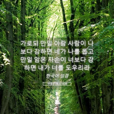 Picture 05 - 역대상 19:12 KOR - 가로되 만일 아람 사람이 나보다 - Bible Verse Picture