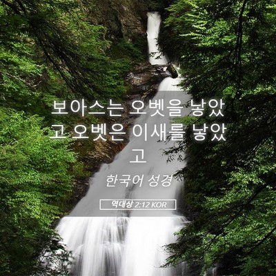 Picture 05 - 역대상 2:12 KOR - 보아스는 오벳을 낳았고 오벳은 - Bible Verse Picture