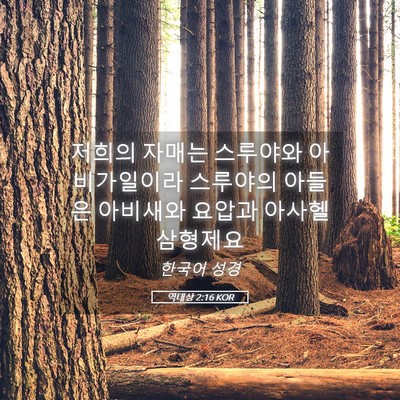 Picture 05 - 역대상 2:16 KOR - 저희의 자매는 스루야와 - Bible Verse Picture