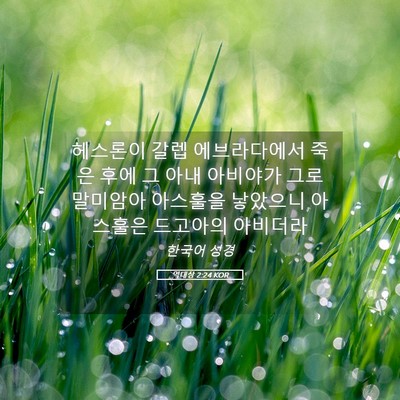 Picture 05 - 역대상 2:24 KOR - 헤스론이 갈렙 에브라다에서 죽은 - Bible Verse Picture