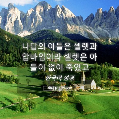 Picture 05 - 역대상 2:30 KOR - 나답의 아들은 셀렛과 압바임이라 - Bible Verse Picture