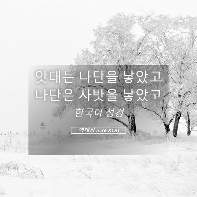 Picture 05 - 역대상 2:36 KOR - 앗대는 나단을 낳았고 나단은 사밧을 - Bible Verse Picture