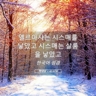Picture 05 - 역대상 2:40 KOR - 엘르아사는 시스매를 낳았고 - Bible Verse Picture