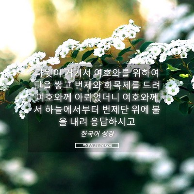 Picture 05 - 역대상 21:26 KOR - 다윗이 거기서 여호와를 위하여 단을 - Bible Verse Picture