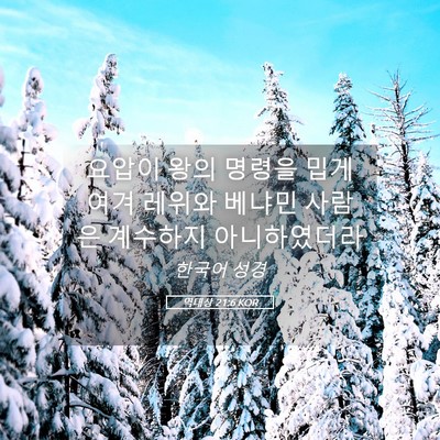 Picture 05 - 역대상 21:6 KOR - 요압이 왕의 명령을 밉게 여겨 - Bible Verse Picture