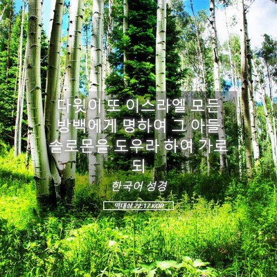 Picture 05 - 역대상 22:17 KOR - 다윗이 또 이스라엘 모든 방백에게 - Bible Verse Picture