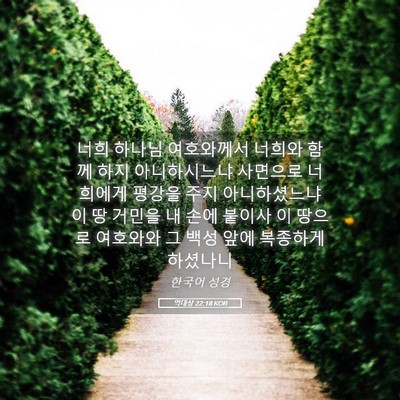 Picture 05 - 역대상 22:18 KOR - 너희 하나님 여호와께서 너희와 함께 - Bible Verse Picture