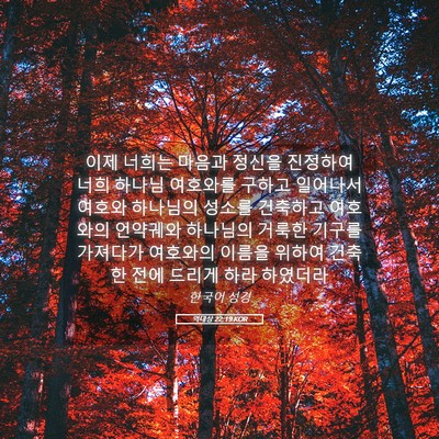 Picture 05 - 역대상 22:19 KOR - 이제 너희는 마음과 정신을 진정하여 - Bible Verse Picture