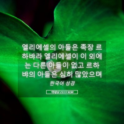 Picture 05 - 역대상 23:17 KOR - 엘리에셀의 아들은 족장 르하뱌라 - Bible Verse Picture