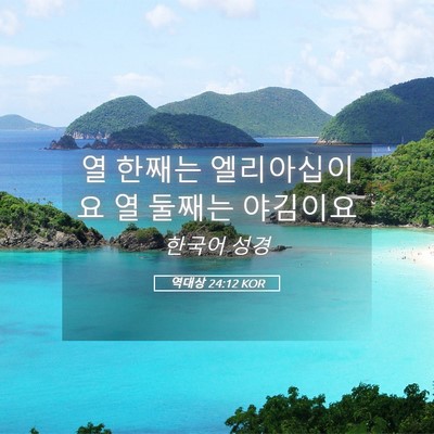 Picture 05 - 역대상 24:12 KOR - 열 한째는 엘리아십이요 열 둘째는 - Bible Verse Picture