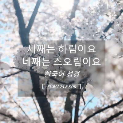 Picture 05 - 역대상 24:8 KOR - 세째는 하림이요 네째는 - Bible Verse Picture