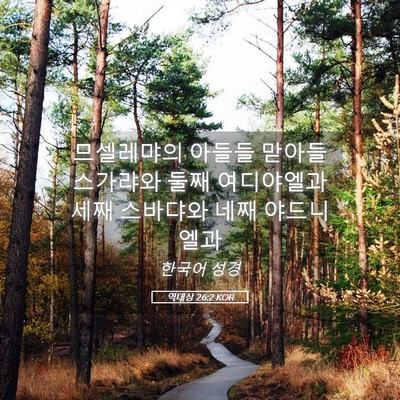 Picture 05 - 역대상 26:2 KOR - 므셀레먀의 아들들 맏아들 스가랴와 - Bible Verse Picture
