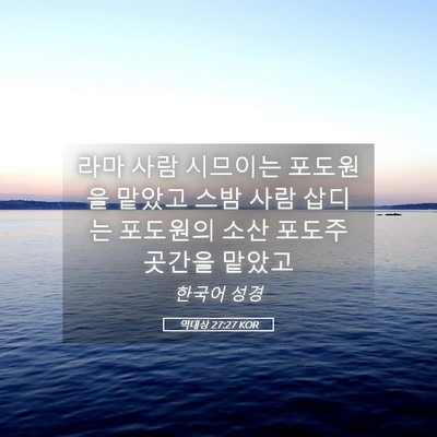 Picture 05 - 역대상 27:27 KOR - 라마 사람 시므이는 포도원을 맡았고 - Bible Verse Picture