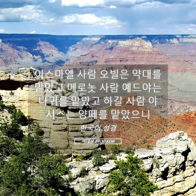 Picture 05 - 역대상 27:30 KOR - 이스마엘 사람 오빌은 약대를 맡았고 - Bible Verse Picture