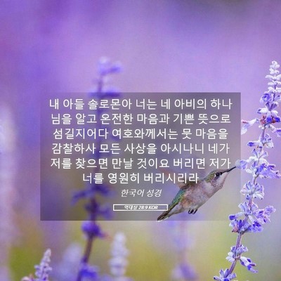 Picture 05 - 역대상 28:9 KOR - 내 아들 솔로몬아 너는 네 아비의 - Bible Verse Picture