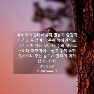 Picture 05 - 역대상 29:11 KOR - 여호와여 광대하심과 권능과 영광과 - Bible Verse Picture