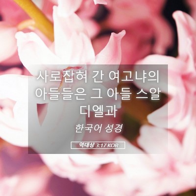 Picture 05 - 역대상 3:17 KOR - 사로잡혀 간 여고냐의 아들들은 그 - Bible Verse Picture