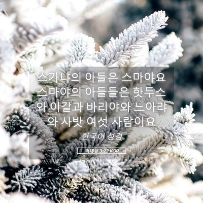 Picture 05 - 역대상 3:22 KOR - 스가냐의 아들은 스마야요 스마야의 - Bible Verse Picture