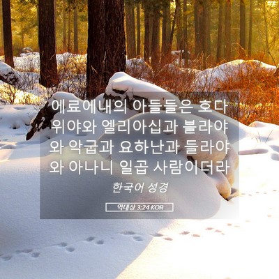 Picture 05 - 역대상 3:24 KOR - 에료에내의 아들들은 호다위야와 - Bible Verse Picture