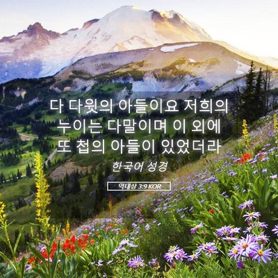 Picture 05 - 역대상 3:9 KOR - 다 다윗의 아들이요 저희의 누이는 - Bible Verse Picture