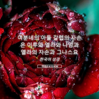 Picture 05 - 역대상 4:15 KOR - 여분네의 아들 갈렙의 자손은 이루와 - Bible Verse Picture
