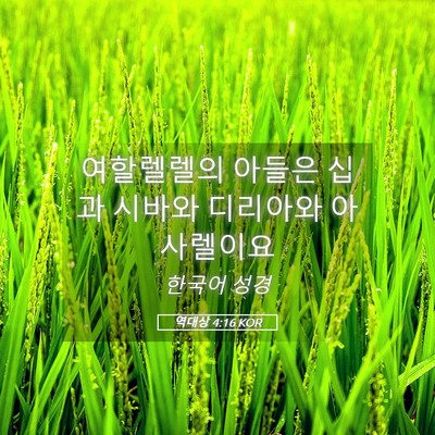 Picture 05 - 역대상 4:16 KOR - 여할렐렐의 아들은 십과 시바와 - Bible Verse Picture
