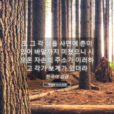 Picture 05 - 역대상 4:33 KOR - 또 그 각 성읍 사면에 촌이 있어 - Bible Verse Picture