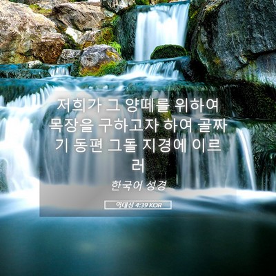 Picture 05 - 역대상 4:39 KOR - 저희가 그 양떼를 위하여 목장을 - Bible Verse Picture