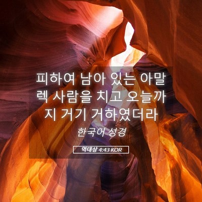 Picture 05 - 역대상 4:43 KOR - 피하여 남아 있는 아말렉 사람을 - Bible Verse Picture