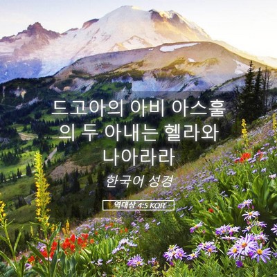 Picture 05 - 역대상 4:5 KOR - 드고아의 아비 아스훌의 두 아내는 - Bible Verse Picture
