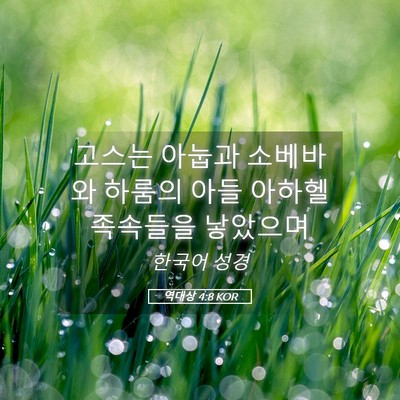 Picture 05 - 역대상 4:8 KOR - 고스는 아눕과 소베바와 하룸의 아들 - Bible Verse Picture