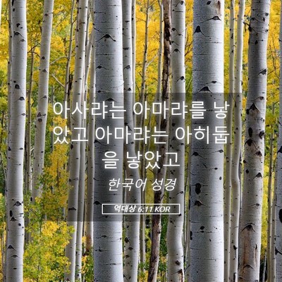 Picture 05 - 역대상 6:11 KOR - 아사랴는 아마랴를 낳았고 아마랴는 - Bible Verse Picture