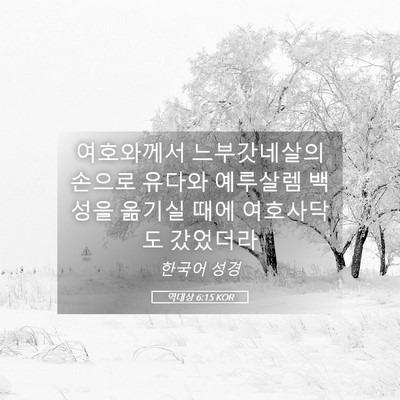 Picture 05 - 역대상 6:15 KOR - 여호와께서 느부갓네살의 손으로 - Bible Verse Picture