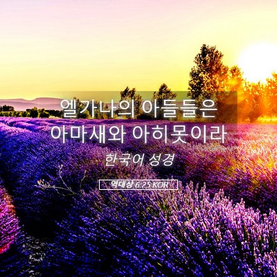 Picture 05 - 역대상 6:25 KOR - 엘가나의 아들들은 아마새와 - Bible Verse Picture